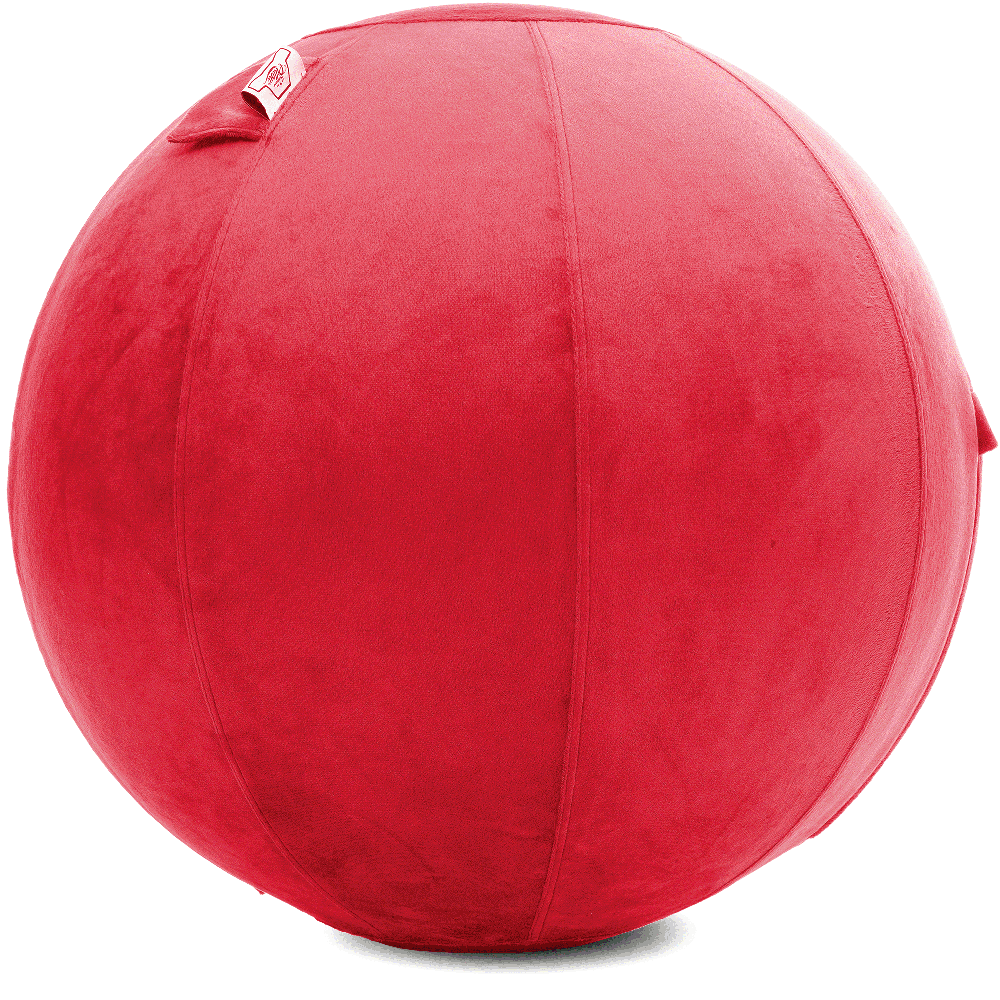 360 - YOGA-65-PBALL-Red-Elect - Husband Pillow