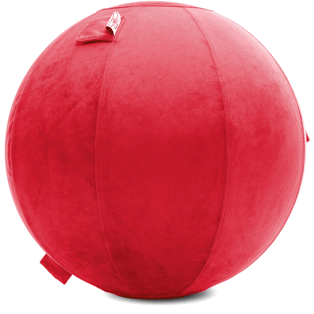 360 - YOGA-65-PBALL-Red-Elect - Husband Pillow