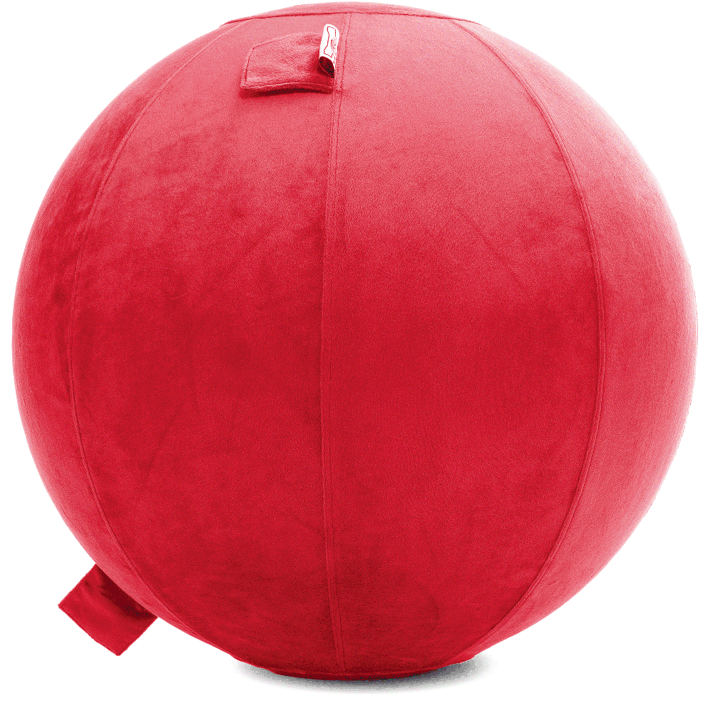 360 - YOGA-65-PBALL-Red-Elect - Husband Pillow