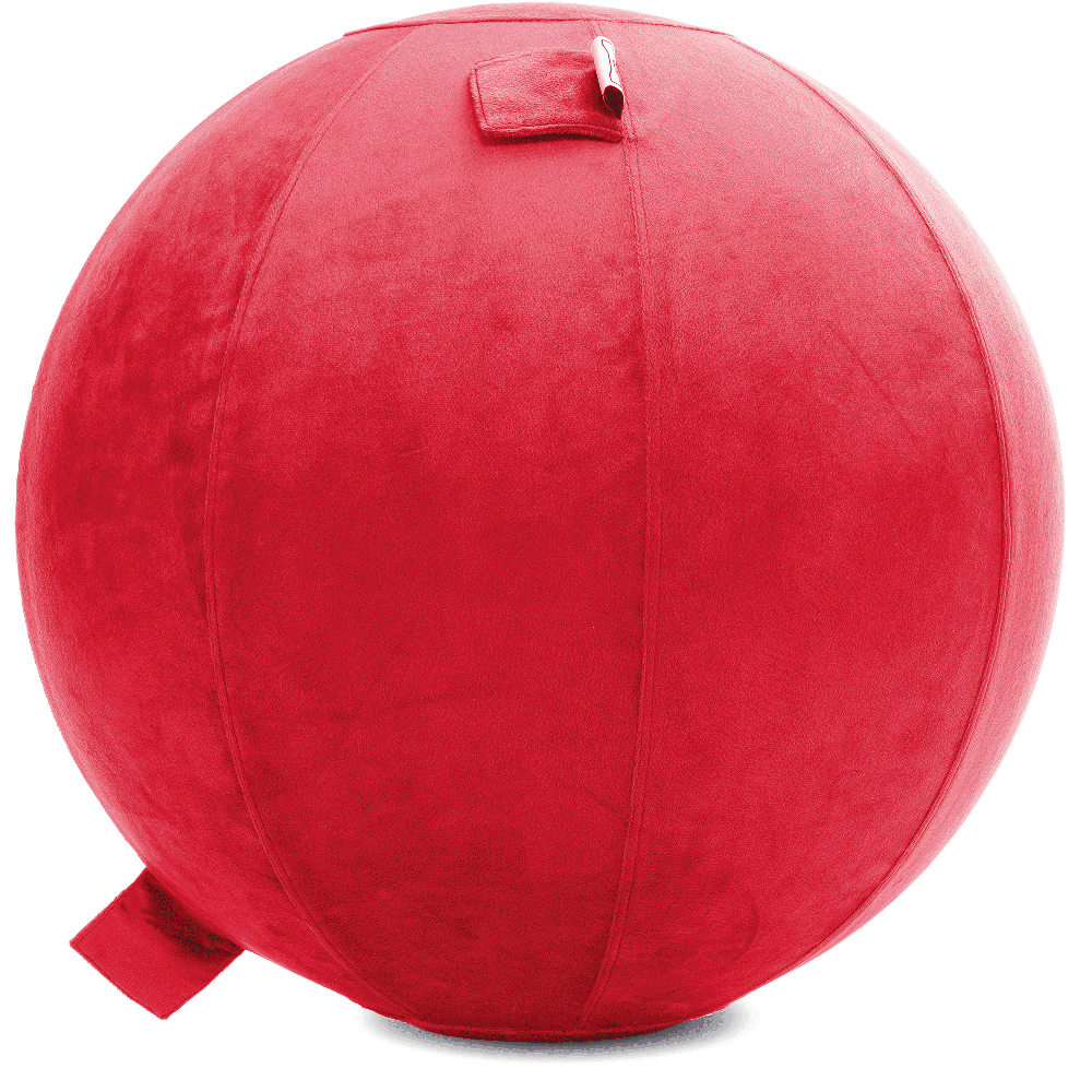 360 - YOGA-65-PBALL-Red-Elect - Husband Pillow