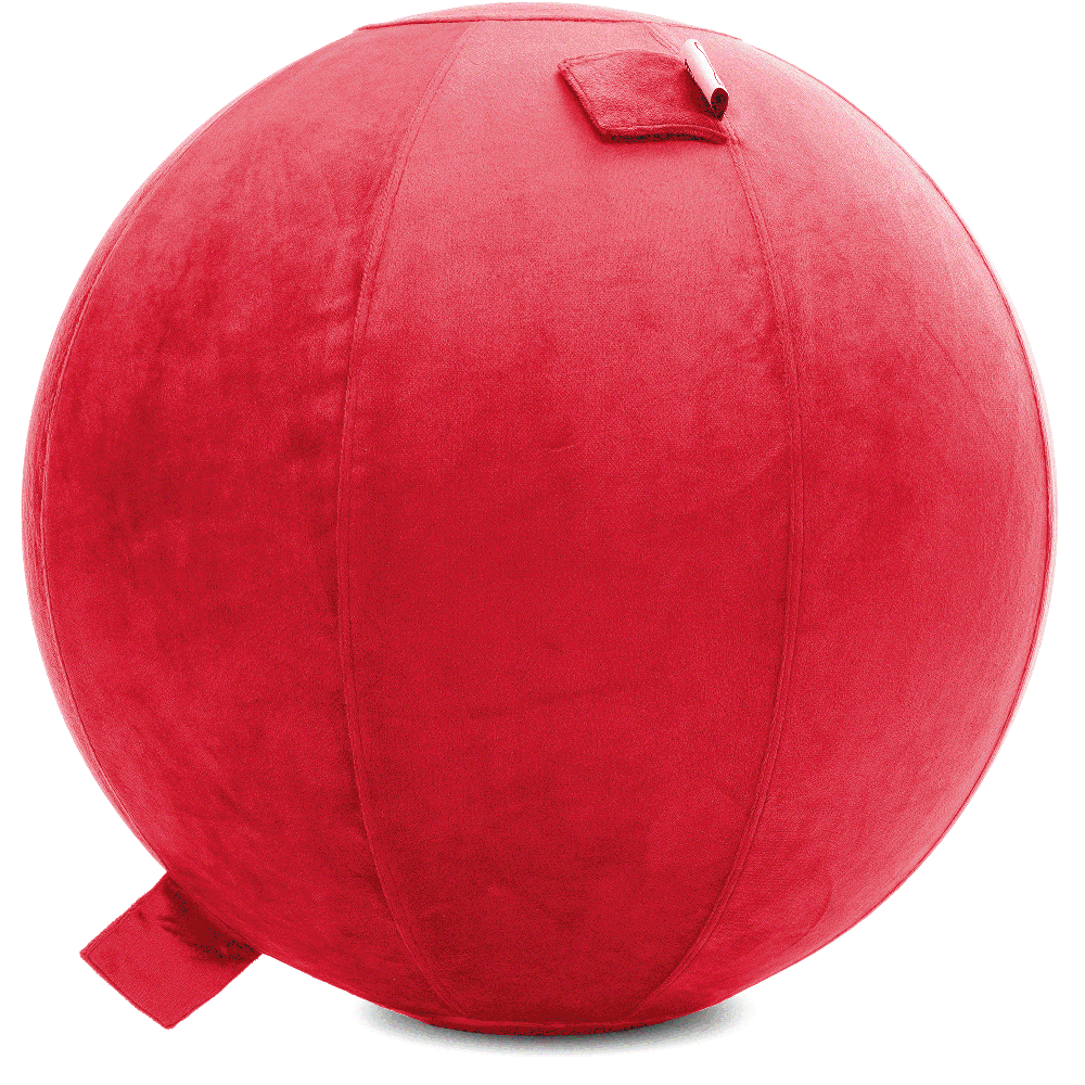 360 - YOGA-65-PBALL-Red-Elect - Husband Pillow