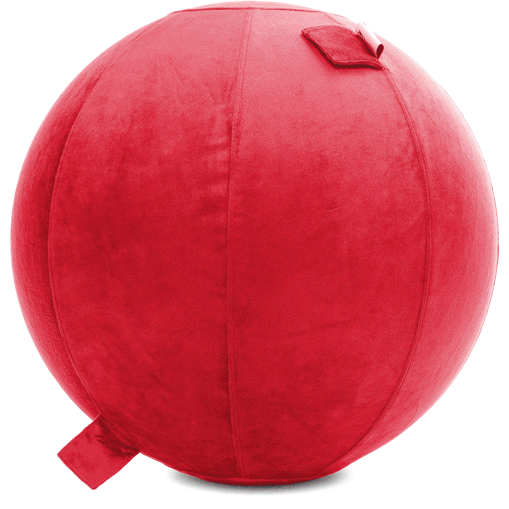 360 - YOGA-65-PBALL-Red-Elect - Husband Pillow