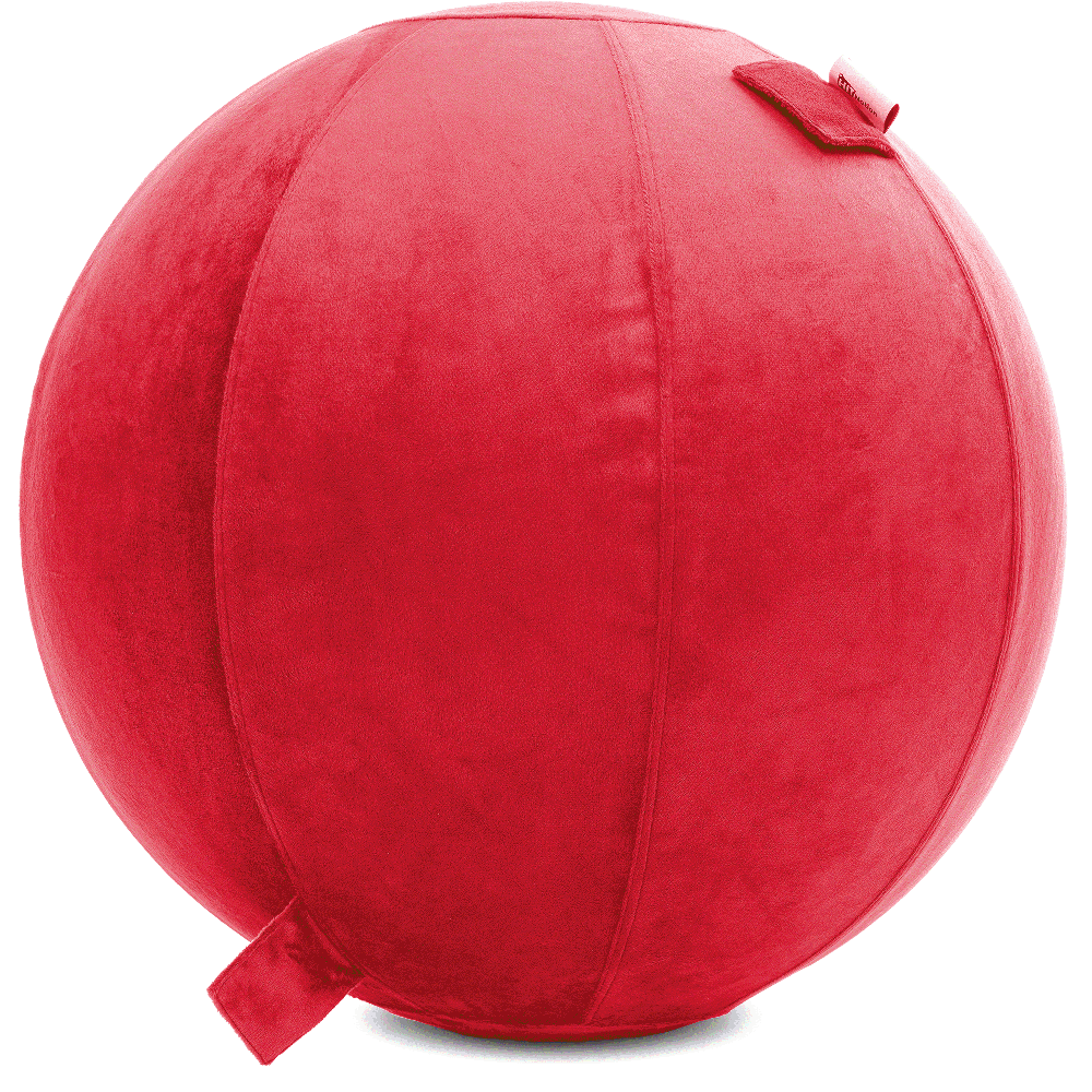 360 - YOGA-65-PBALL-Red-Elect - Husband Pillow