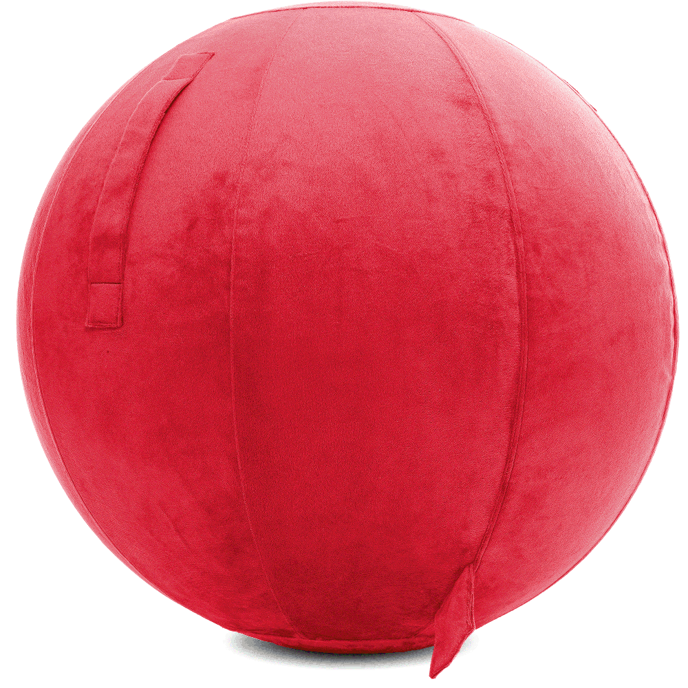 360 - YOGA-65-PBALL-Red-Elect - Husband Pillow