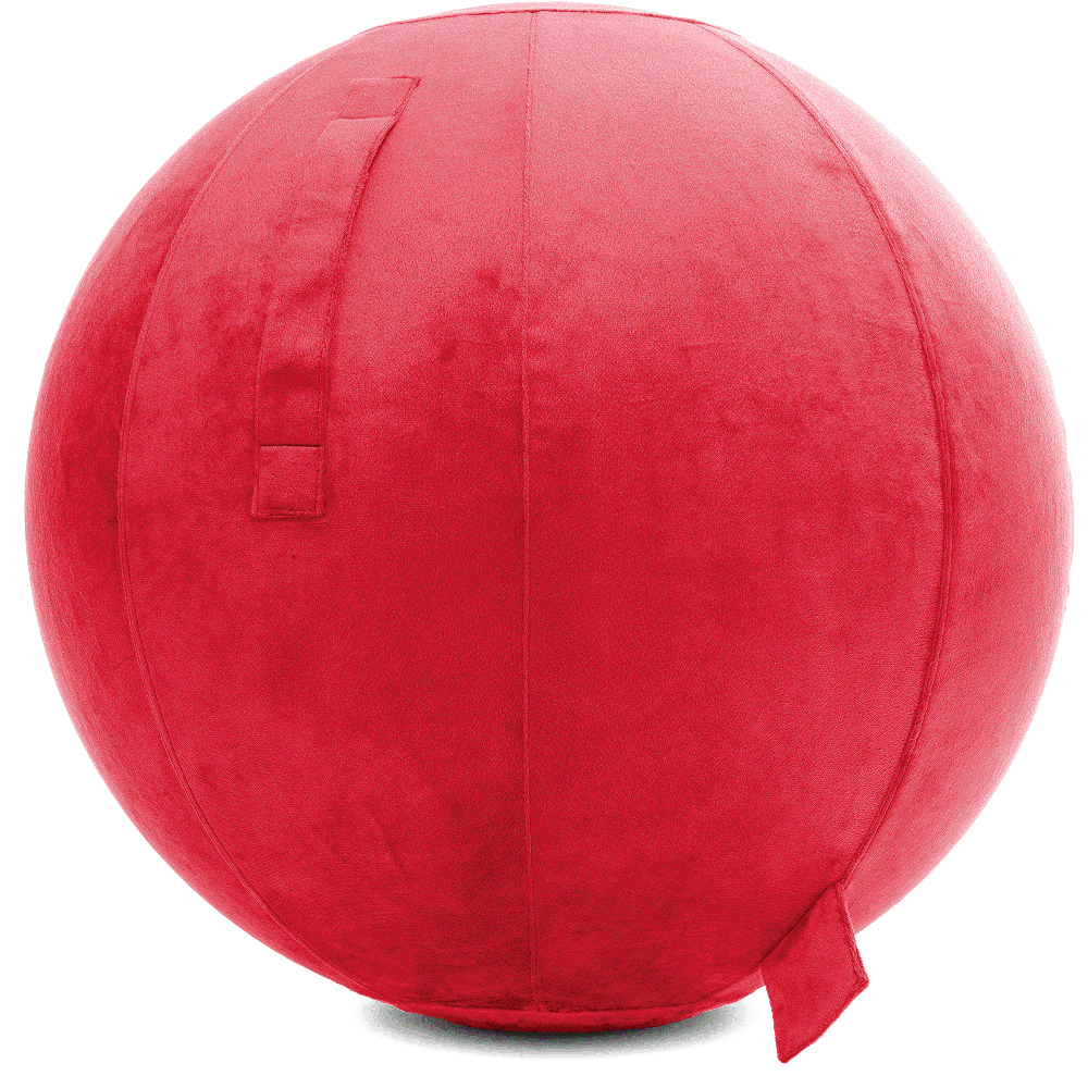 360 - YOGA-65-PBALL-Red-Elect - Husband Pillow