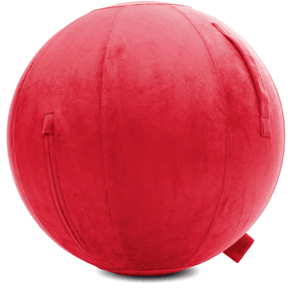 360 - YOGA-65-PBALL-Red-Manual - Husband Pillow