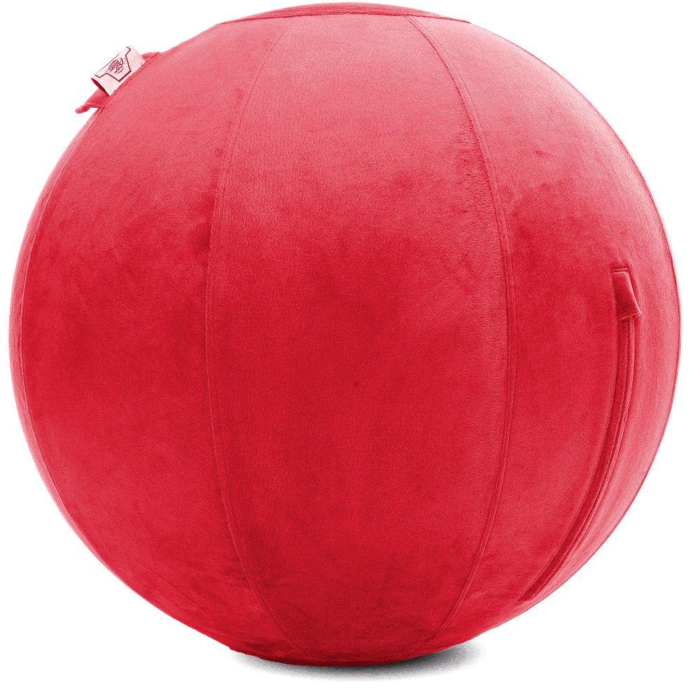 360 - YOGA-65-PBALL-Red-Manual - Husband Pillow