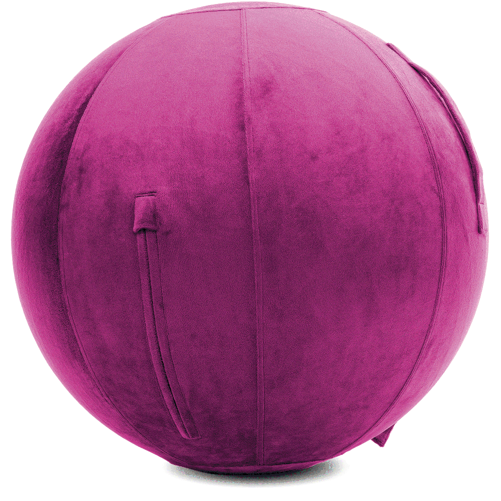 360 - YOGA-65-PBALL-SRaspberry-Elect - Husband Pillow