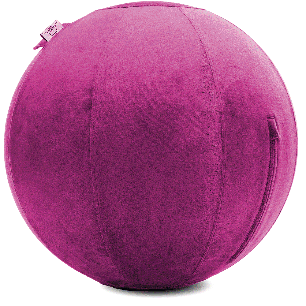 360 - YOGA-65-PBALL-SRaspberry-Elect - Husband Pillow