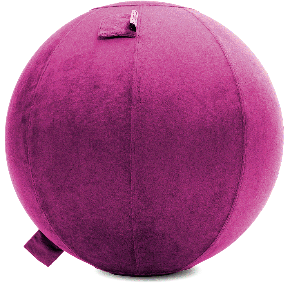 360 - YOGA-65-PBALL-SRaspberry-Elect - Husband Pillow