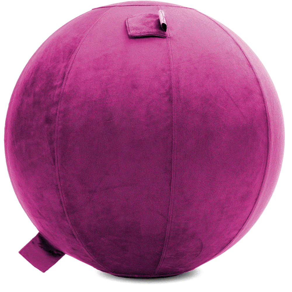 360 - YOGA-65-PBALL-SRaspberry-Elect - Husband Pillow
