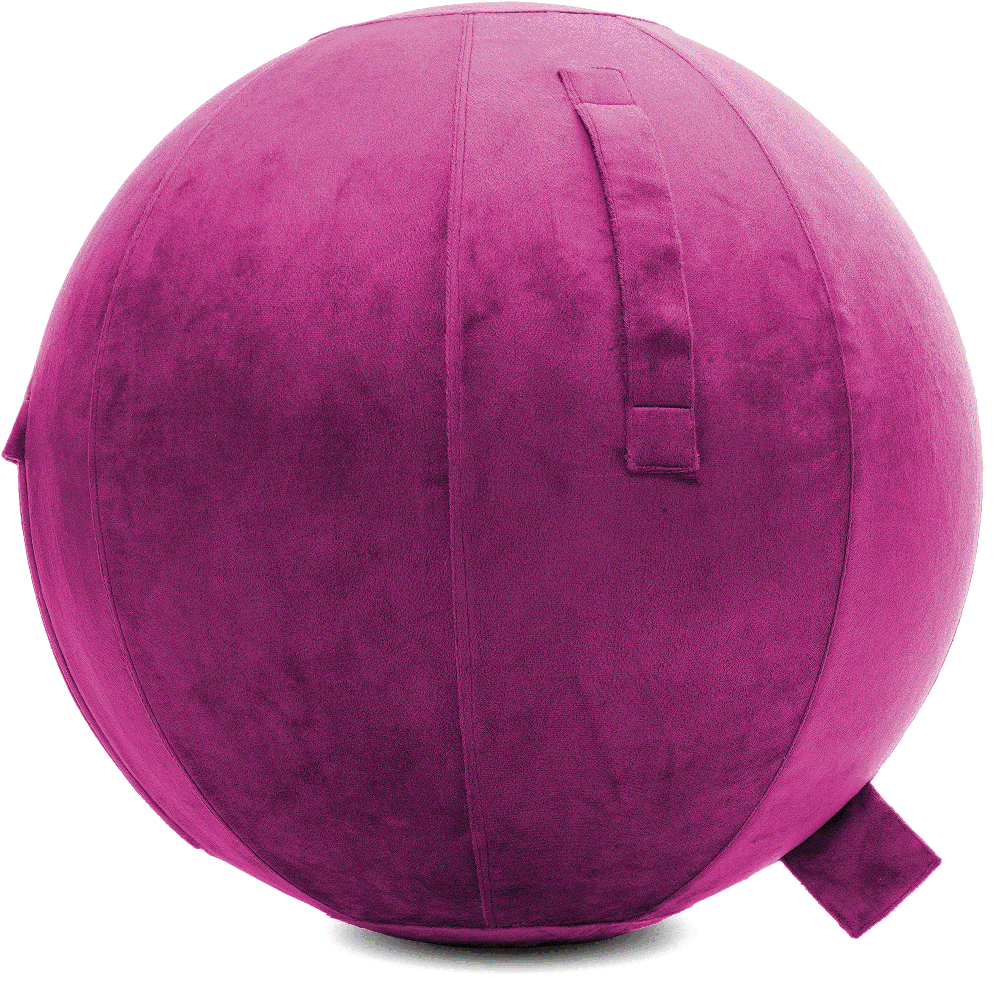 360 - YOGA-65-PBALL-SRaspberry-Manual - Husband Pillow