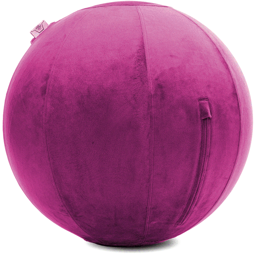 360 - YOGA-65-PBALL-SRaspberry-Manual - Husband Pillow
