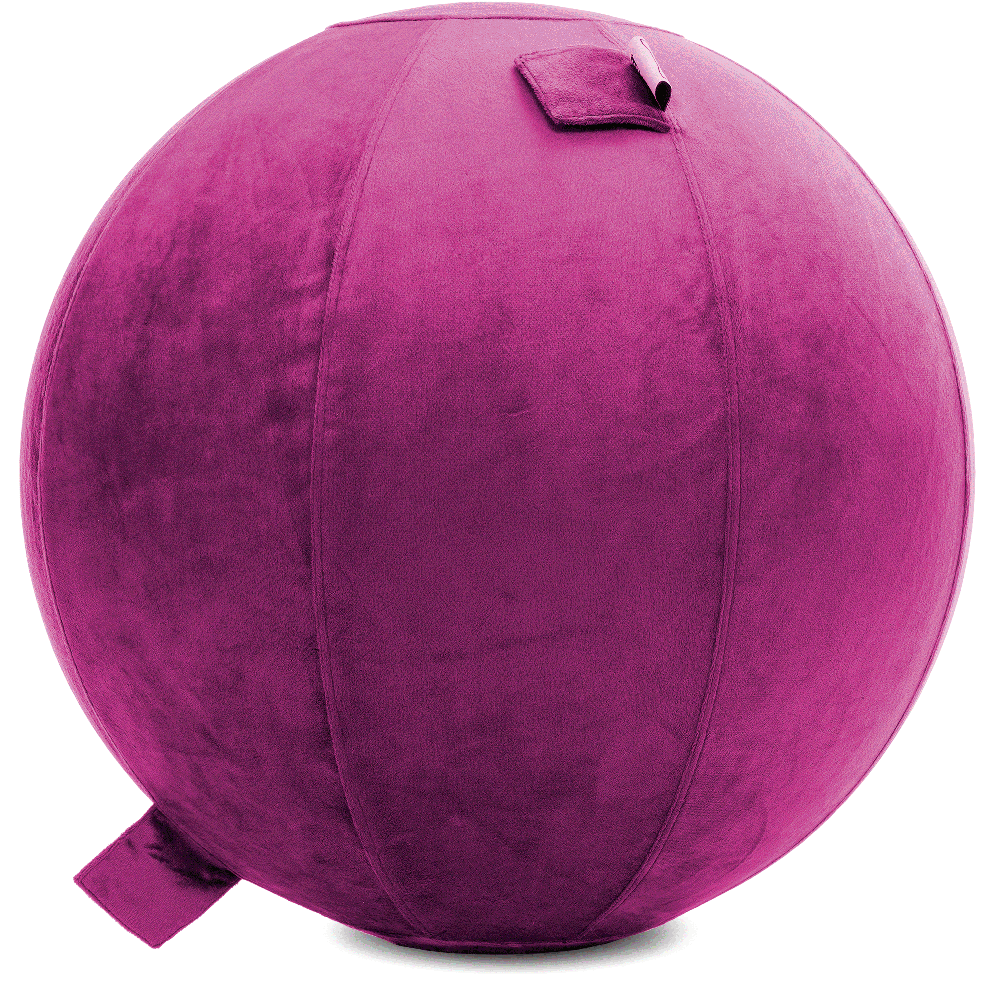360 - YOGA-65-PBALL-SRaspberry-Manual - Husband Pillow