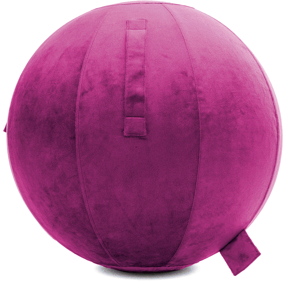 360 - YOGA-65-PBALL-SRaspberry-Manual - Husband Pillow