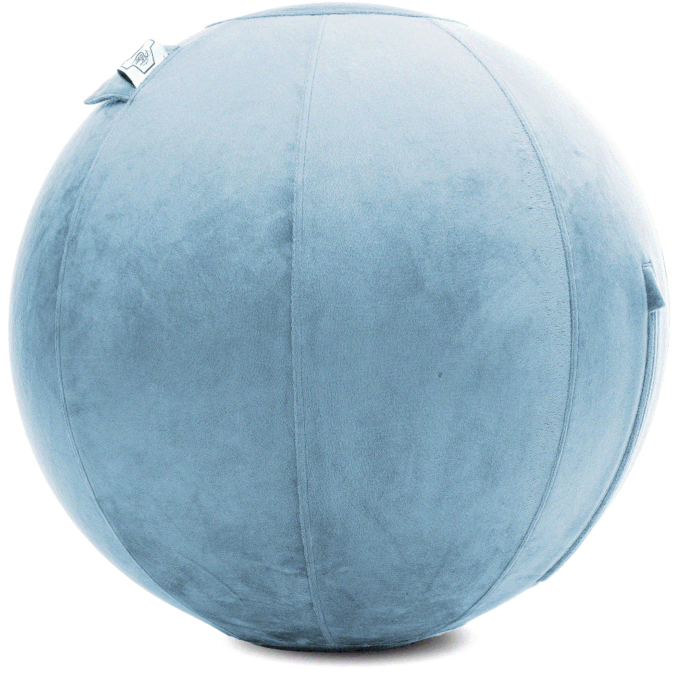 360 - YOGA-65-PBALL-SkyBlue-Manual - Husband Pillow