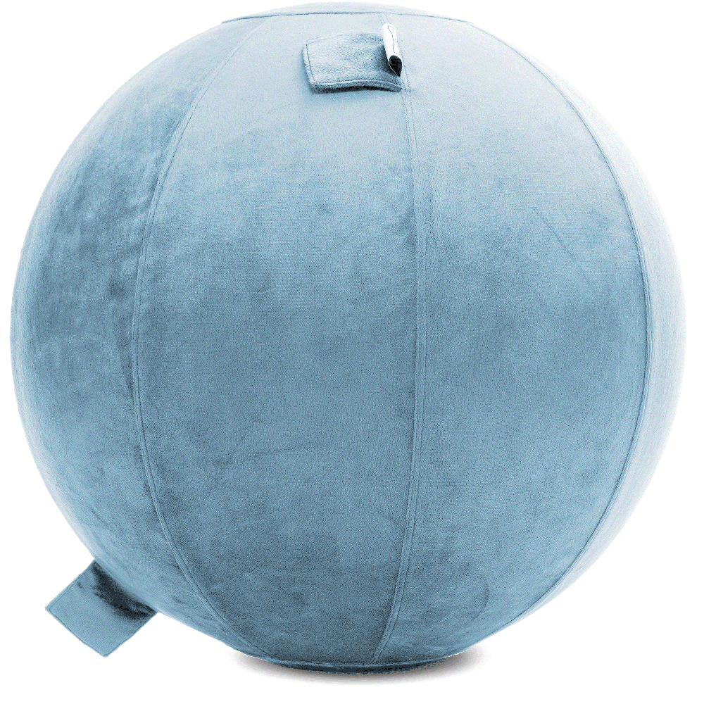 360 - YOGA-65-PBALL-SkyBlue-Manual - Husband Pillow