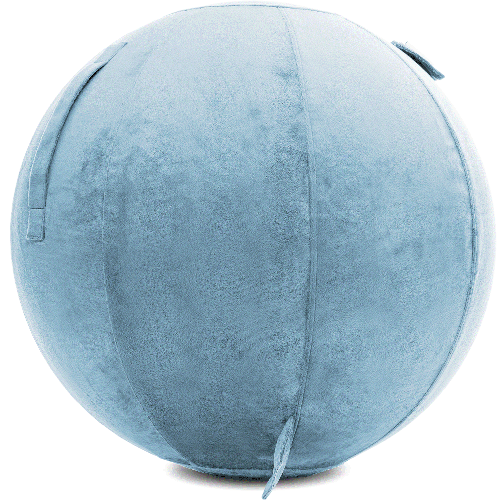 360 - YOGA-65-PBALL-SkyBlue-Manual - Husband Pillow