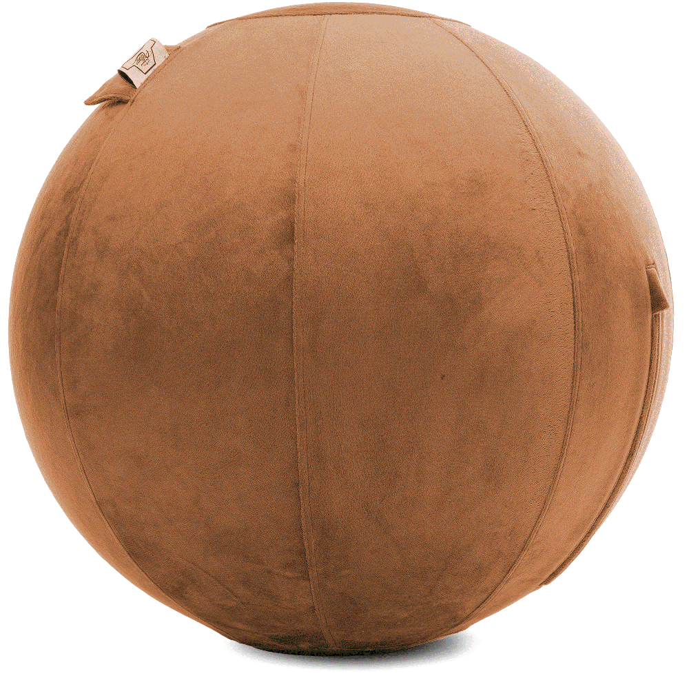 360 - YOGA-65-PBALL-Tan-Elect - Husband Pillow