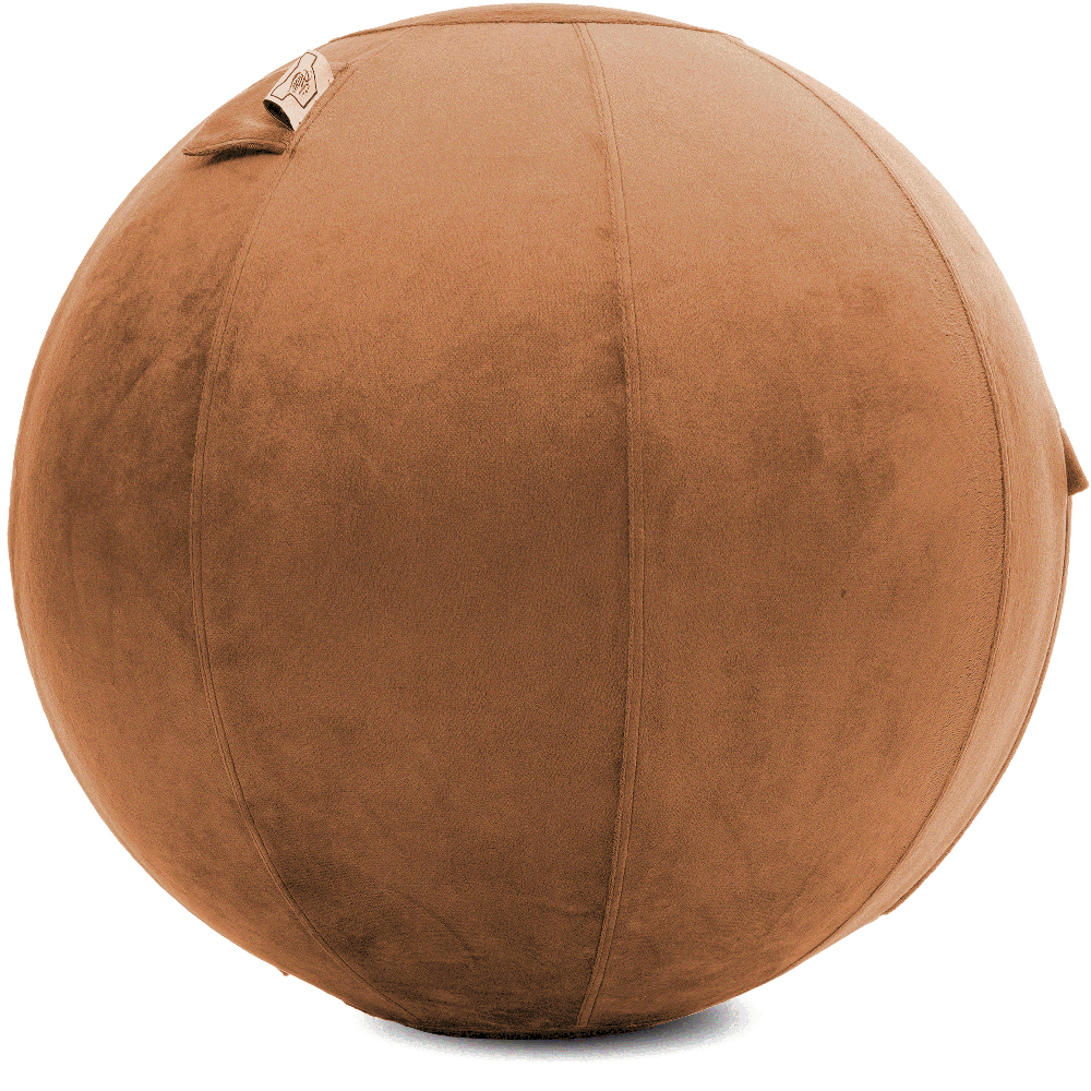 360 - YOGA-65-PBALL-Tan-Elect - Husband Pillow