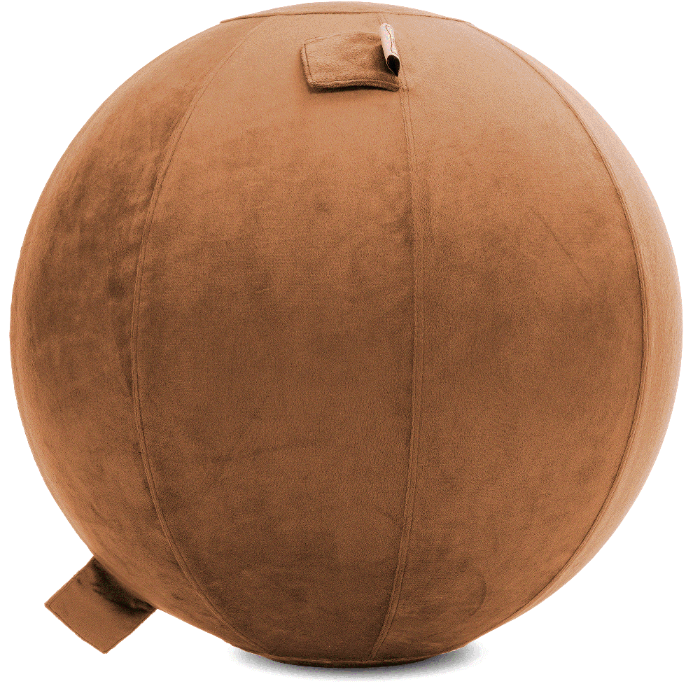 360 - YOGA-65-PBALL-Tan-Elect - Husband Pillow