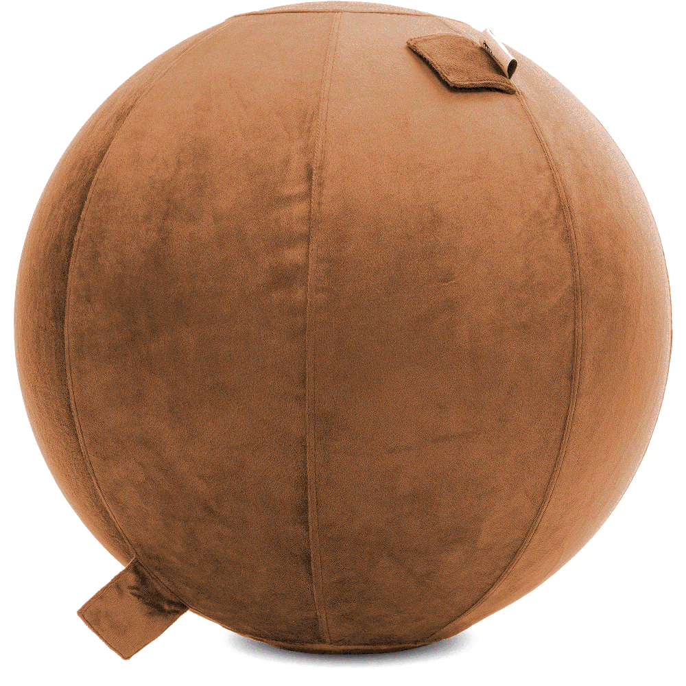 360 - YOGA-65-PBALL-Tan-Elect - Husband Pillow