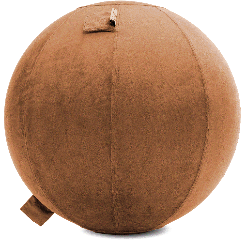 360 - YOGA-65-PBALL-Tan-Manual - Husband Pillow