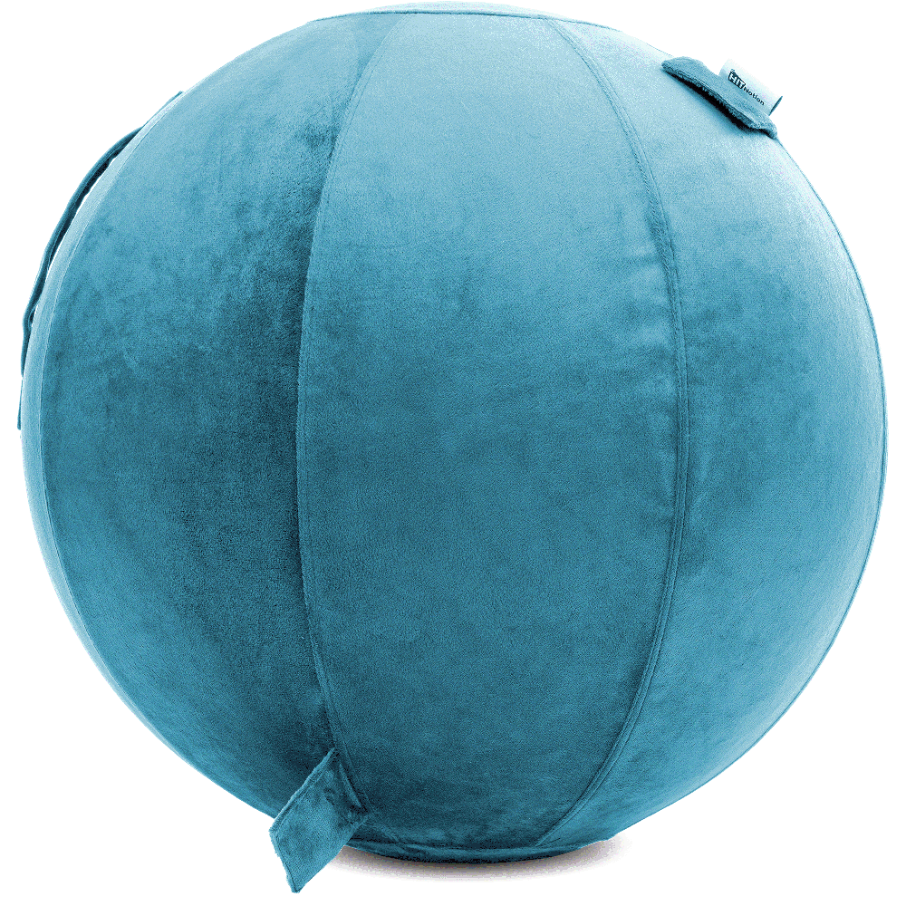 360 - YOGA-65-PBALL-Teal-Elect - Husband Pillow