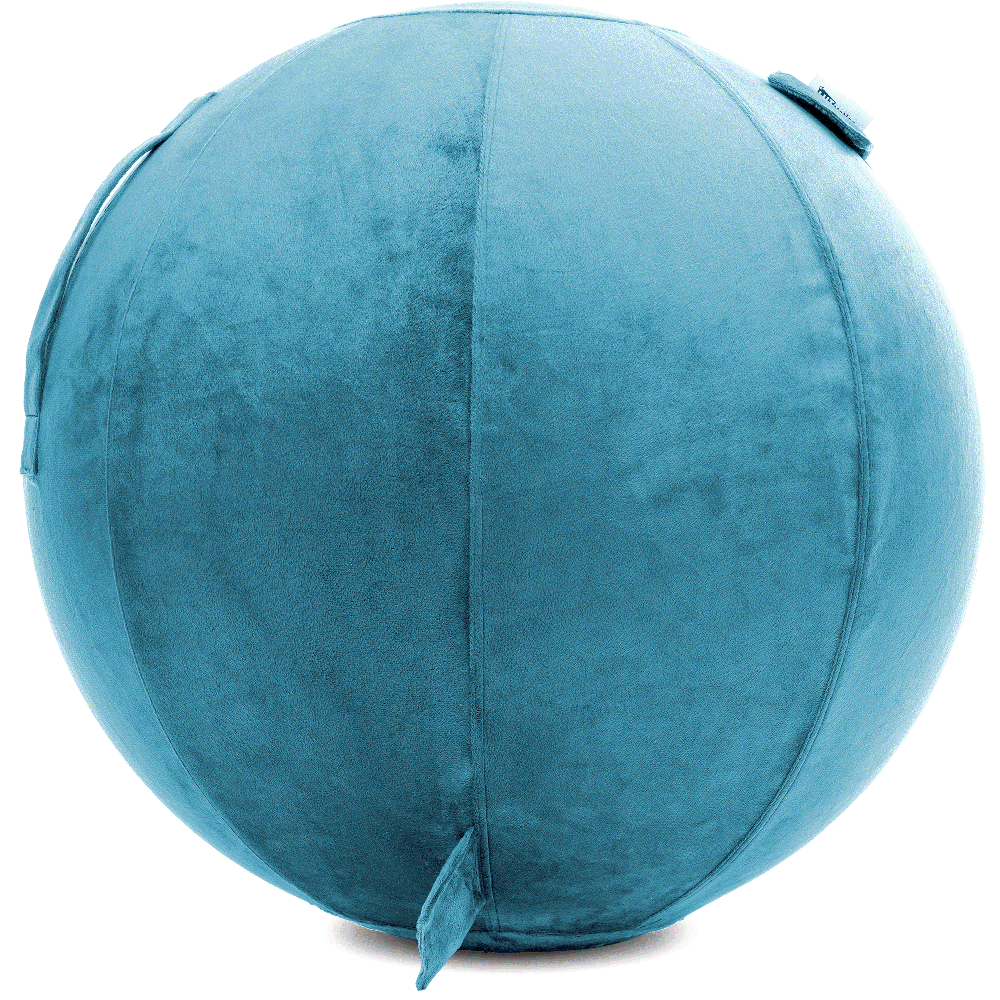 360 - YOGA-65-PBALL-Teal-Manual - Husband Pillow