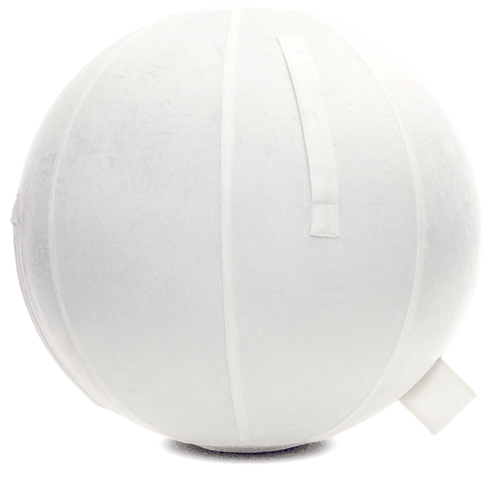 360 - YOGA-65-PBALL-White-Elect - Husband Pillow