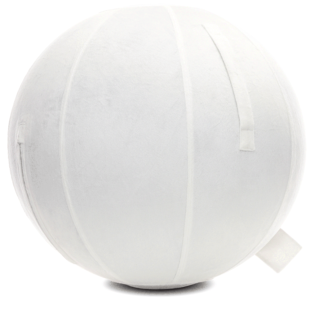 360 - YOGA-65-PBALL-White-Elect - Husband Pillow