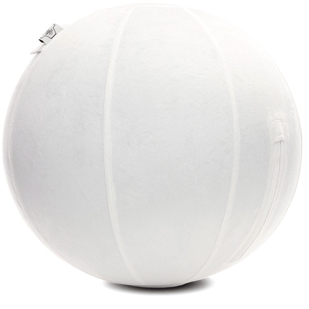 360 - YOGA-65-PBALL-White-Elect - Husband Pillow