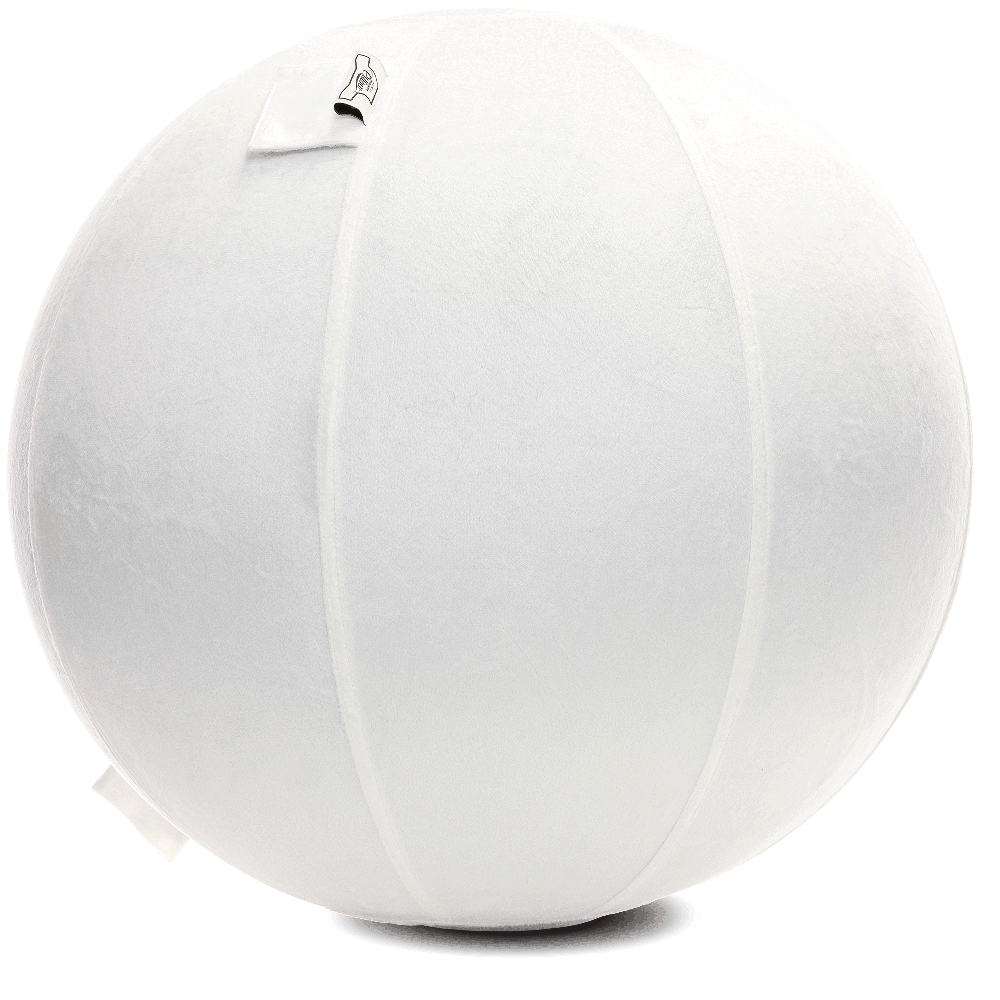 360 - YOGA-65-PBALL-White-Elect - Husband Pillow