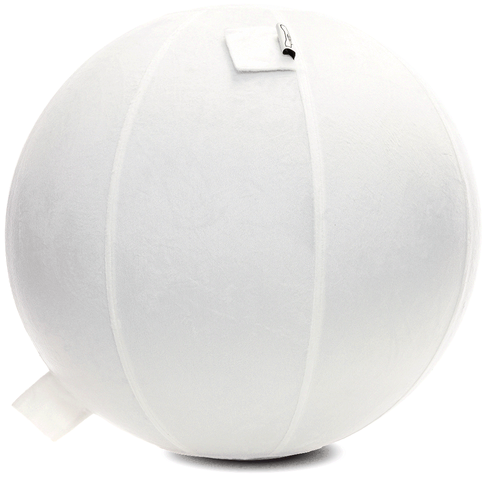 360 - YOGA-65-PBALL-White-Elect - Husband Pillow