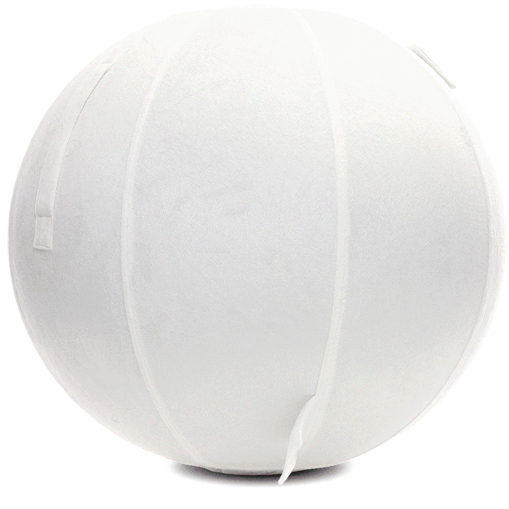 360 - YOGA-65-PBALL-White-Elect - Husband Pillow