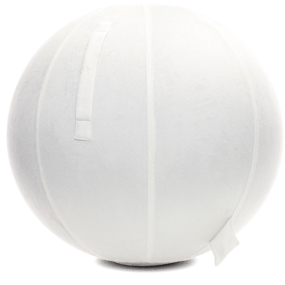 360 - YOGA-65-PBALL-White-Elect - Husband Pillow
