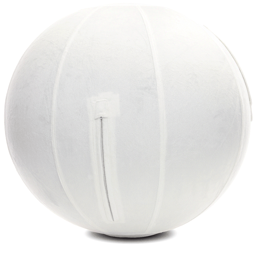 360 - YOGA-65-PBALL-White-Manual - Husband Pillow