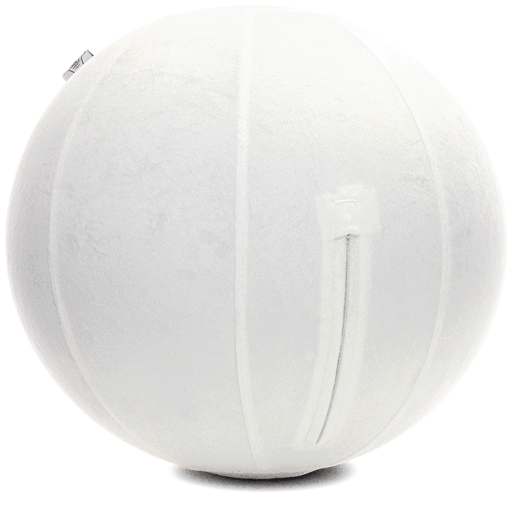 360 - YOGA-65-PBALL-White-Manual - Husband Pillow