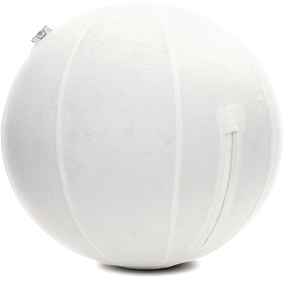 360 - YOGA-65-PBALL-White-Manual - Husband Pillow