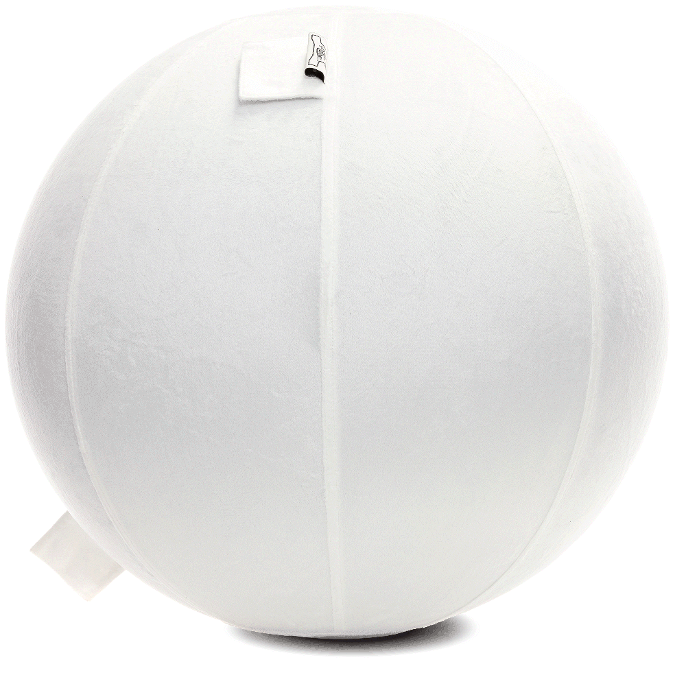 360 - YOGA-65-PBALL-White-Manual - Husband Pillow