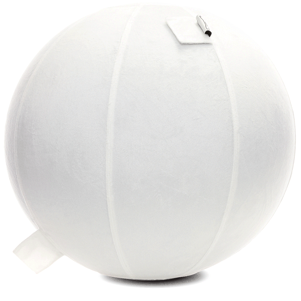 360 - YOGA-65-PBALL-White-Manual - Husband Pillow
