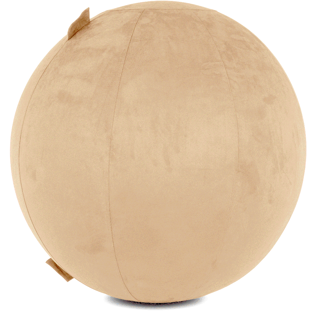 360 - YOGA-75-COWBALL-CTaupe-Manual - Husband Pillow
