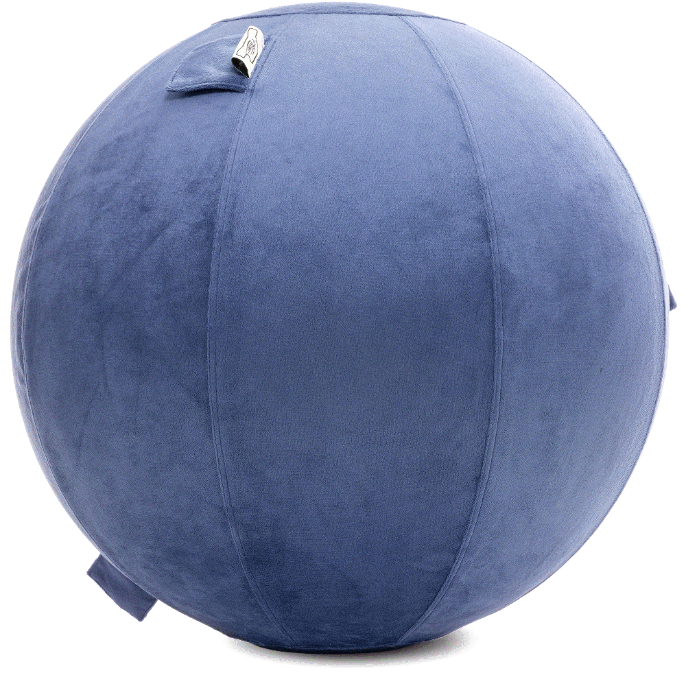 360 - YOGA-75-PBALL-DBlue-Elect - Husband Pillow