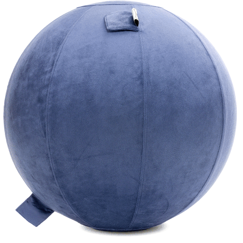 360 - YOGA-75-PBALL-DBlue-Elect - Husband Pillow