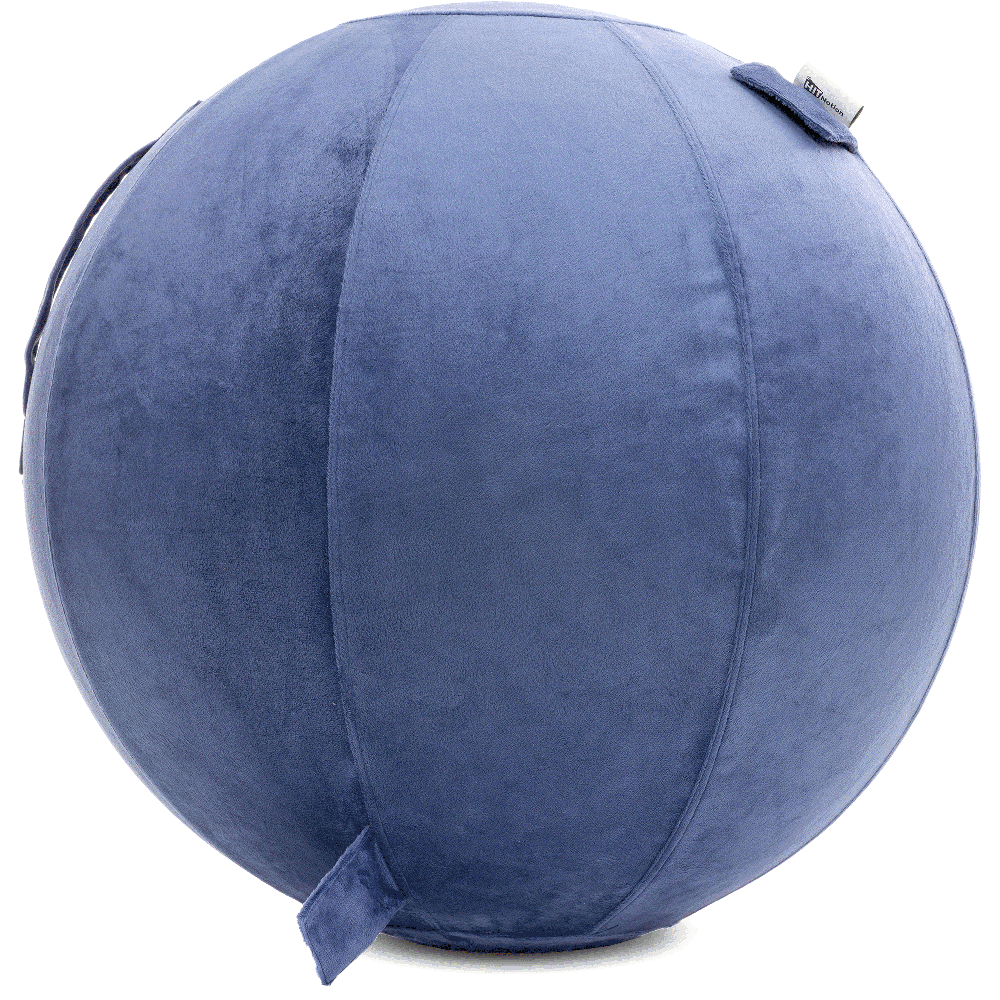 360 - YOGA-75-PBALL-DBlue-Elect - Husband Pillow