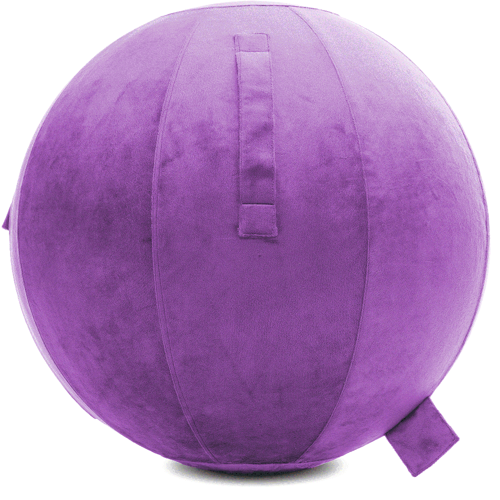 360 - YOGA-75-PBALL-Lt-Purple-Elect - Husband Pillow