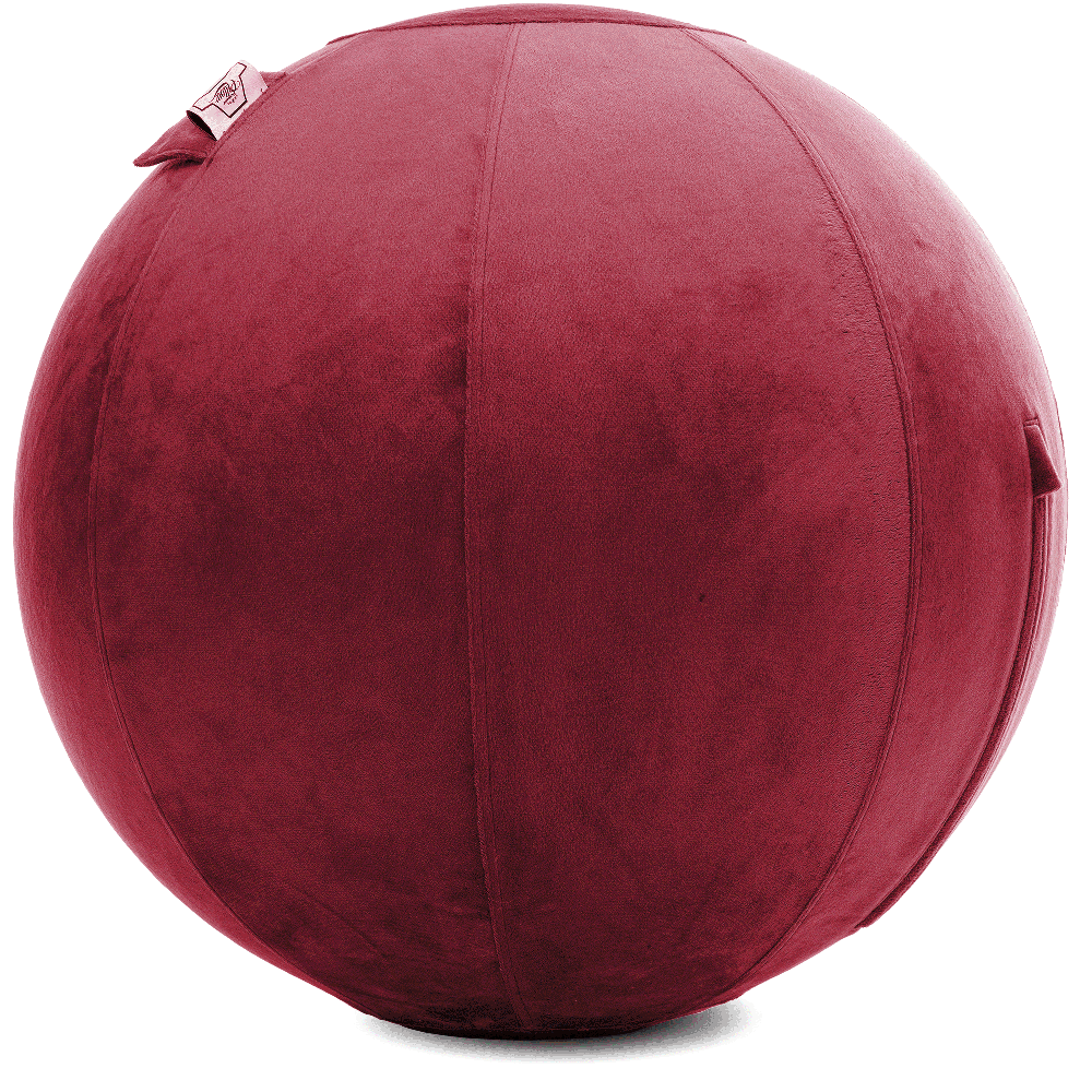360 - YOGA-75-PBALL-Maroon-Manual - Husband Pillow
