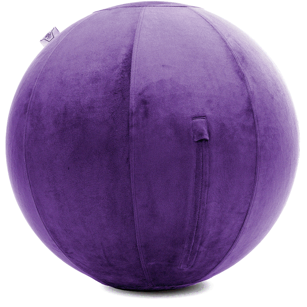 360 - YOGA-75-PBALL-Purp-Manual - Husband Pillow