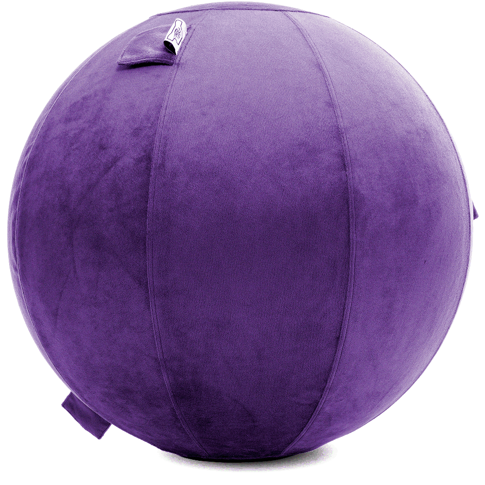 360 - YOGA-75-PBALL-Purp-Manual - Husband Pillow