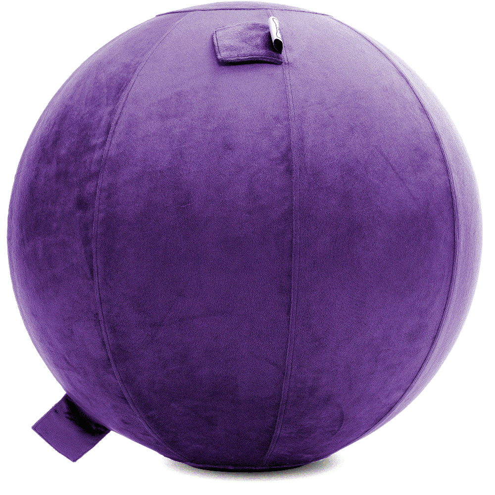 360 - YOGA-75-PBALL-Purp-Manual - Husband Pillow